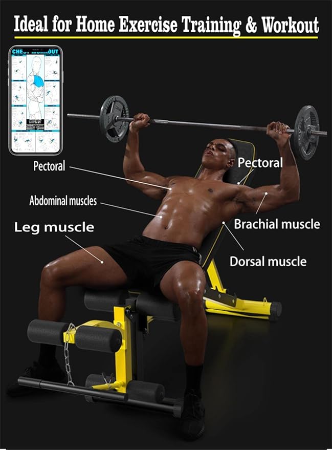 Utility Weight Bench with Leg Extension - Multi-Position