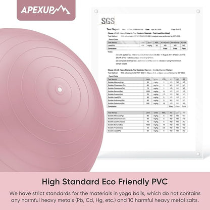 APEXUP Yoga Ball Exercise Ball