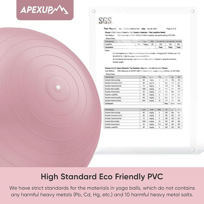 APEXUP Yoga Ball Exercise Ball