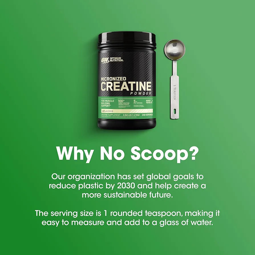 Optimum Nutrition Micronized Creatine Monohydrate Powder, Unflavored, 240 Servings, 1200 Grams