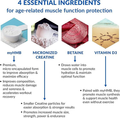BioTrust Ageless Muscle Builder - Creatine HMB Powder with Vitamin D3 & Betaine - Build & Preserve Naturally Declining Muscle Mass & Strength - Fruit Punch, 60 Servings