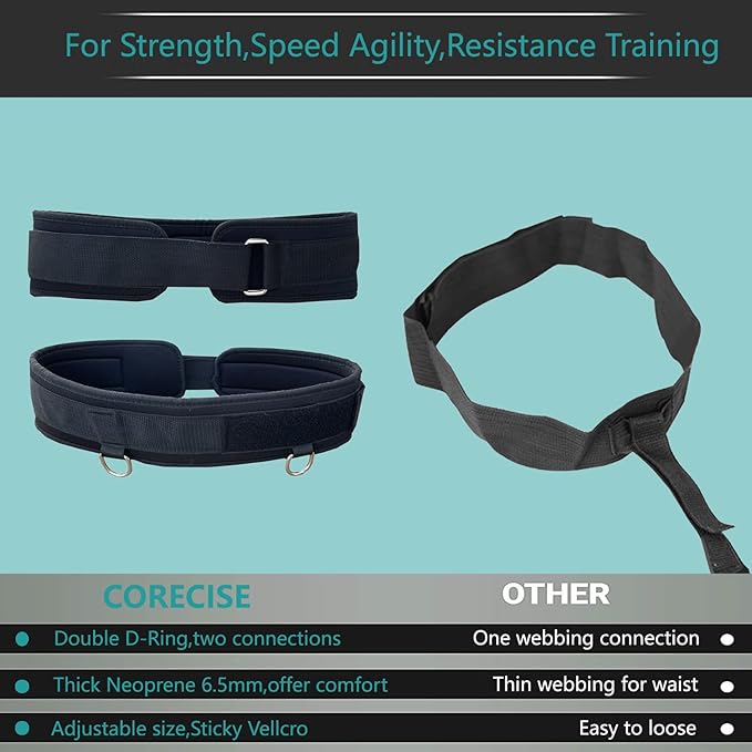 Weighted Training Waist Belt for Pulling Sled and Tires