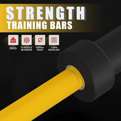 Olympic Barbell Curl Bar EZ Bar Strength Training