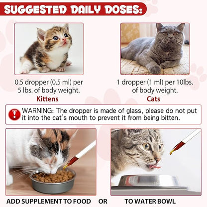 Liquid Iron for Cats, Liquid Iron Drops for Cats Supports Anemia, Low Enery Levels and Lethargy Cats- Improve Energy Levels & Vitality, Pet Supplies Cat Vitamin Supplement, Caramel Flavor - 2 fl.oz