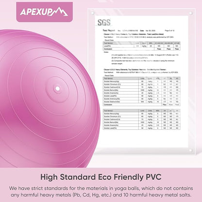 APEXUP Yoga Ball Exercise Ball