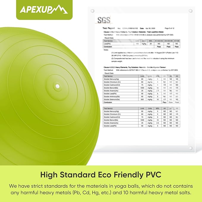 APEXUP Yoga Ball Exercise Ball