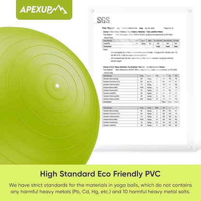 APEXUP Yoga Ball Exercise Ball