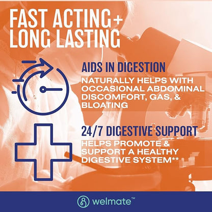 WELMATE Bifidobacterium | Probiotic Supplement | Supports Gut Health | Immune Support | Digestive Enzymes | Gluten Free | Vegan | Men & Womens Probiotic | Value Size | 200 Count