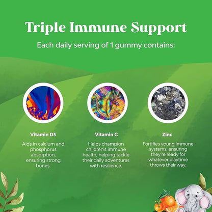 Organic Kids Immune Support Gummies - Vegan Organic Vitamin D Gummies for Kids with Vitamin C and Zinc for Kids Immunity - D3 Zinc and Vitamin C Gummies for Kids - Gluten Free & Non GMO (120 Servings)