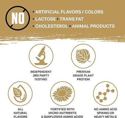 Ambrosia Planta - Premium Organic Plant-Based Protein | Vegan & Keto Friendly | Gourmet Flavors with No Bloating or Stomach Upset | Gluten & Soy Free | No Added Sugar | 25 Servings | Sprinkle Cupcake