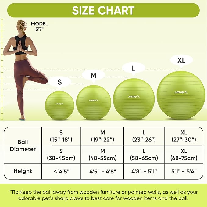 APEXUP Yoga Ball Exercise Ball