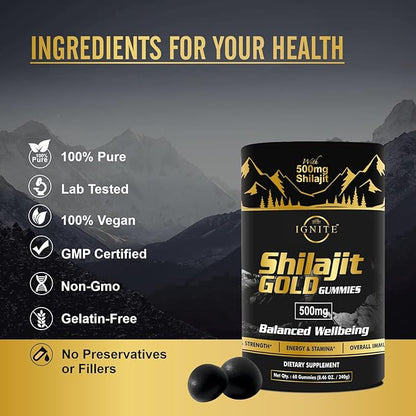 Pure Himalayan Shilajit Gummies - High Potency Gold Grade, 100% Shilajit, 75%+ Fulvic Acid for Energy Boost & Immune Support, Travel-Friendly, Tamarind Flavor - 60 Gummies