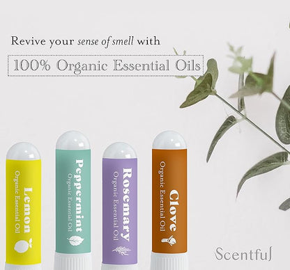 Smell Training Kit for Loss of Smell, Smell Retraining Therapy, Restore Sense of Smell and Taste, Made in the USA with Organic Essential Oils