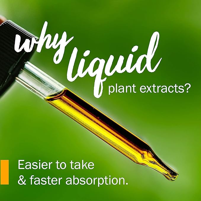 Herb Pharm Burdock Blend Liquid Extract to Support Cleansing & Detoxifying - 4 Ounce