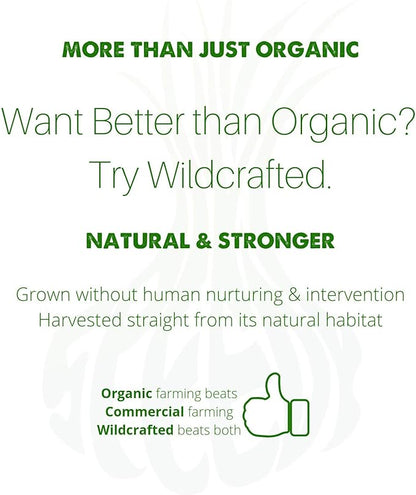 Natural Blood Cleanser Capsules Organic Supplement SpeedyVite® (120 Vegetable Powder Capsules)