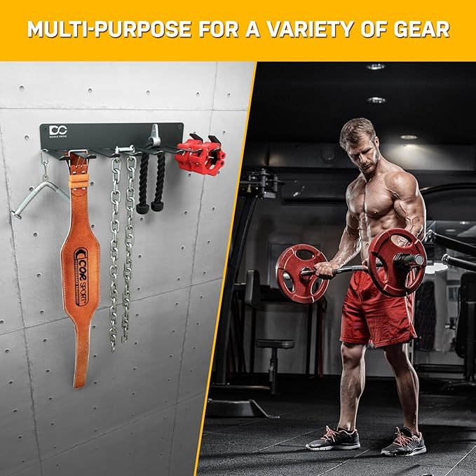 Double Circle Gym Equipment Storage Rack - Multi Purpose Gym Equipment Wall Rack Hanger for Pro Home Gym Storage for Exercise Bands, Barbell Bar, Jump Ropes, Chains, Lifting Belts (17" - Hooks)