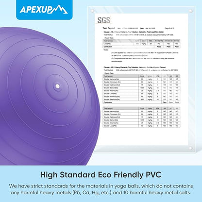 APEXUP Yoga Ball Exercise Ball
