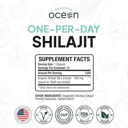 One-Per-Day Shilajit for Men and Women - Natural and Potent Shilajit Supplement for Age-Defying, Bone Strength, Hormone Support and More - 6 Bottles Shilajit Capsules