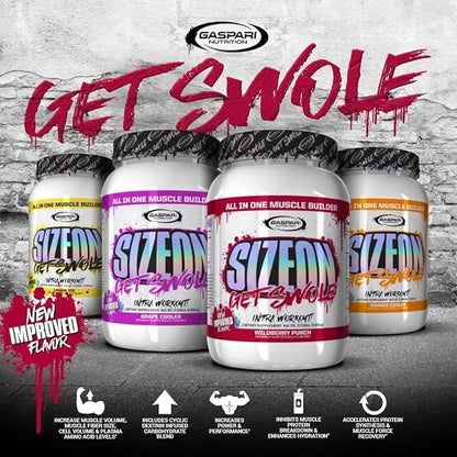 Gaspari Nutrition SizeOn, The Ultimate Hybrid Intra-Workout Amino Acid & Creatine Formula, Increased Muscle Volume & Muscle Recovery (3.59 Pound, Grape Cooler)