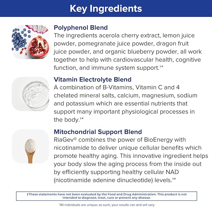 Gundry MD Vital Recharge Supplement Powder - Advanced Energy Formula with Electrolytes - Supports ATP Supply - 30 Servings