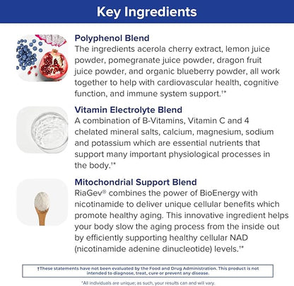 Gundry MD Vital Recharge Supplement Powder - Advanced Energy Formula with Electrolytes - Supports ATP Supply - 30 Servings