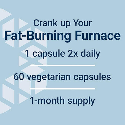 Life Extension 7-Keto DHEA Metabolite – Crank Up Your Fat-Burning Furnace – Non-GMO – Gluten-Free – 100 Mg – 60 Vegetarian Capsules