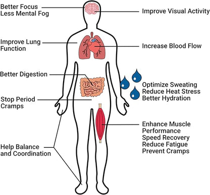 Electrolytes Powder Potassium Supplement - 2000 mg K+, >2X More Than Coconut Water | Cramp Relief and Prevention | Hydration Powder