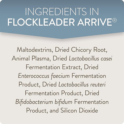 Arrive, Daily Probiotic & Prebiotic Poultry Supplement for Young Chickens 0-8 Weeks Old, 8 oz