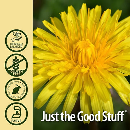 Nature's Answer Dandelion Root Extract 2 Oz – Low Organic Alcohol, Detox & Liver Support Supplement – Made in USA, Kosher, Gluten Free – Dandelion, Dandelion Root, Dandelion Root Supplement