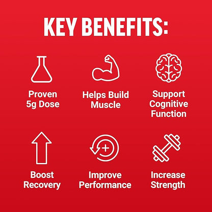 FORCE FACTOR Creatine Gummies, Creatine Monohydrate for Muscle Gain, More Strength, and Faster Recovery, Clinically Studied Creatine 5g Dose, Assorted Fruit Flavors, 30 Servings