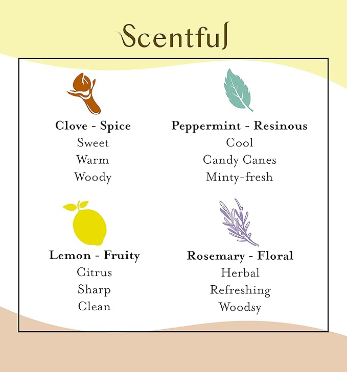 Smell Training Kit for Loss of Smell, Smell Retraining Therapy, Restore Sense of Smell and Taste, Made in the USA with Organic Essential Oils