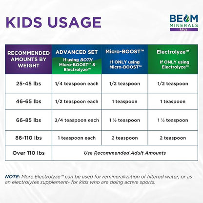 BEAM Minerals Micro-BOOST Humic Mineral Blend | Plant-Based Multi Minerals Supplement & Electrolytes Liquid | Micronutrients Supplements | Deficiency Support | Pure Natural Antioxidant | Keto Friendly