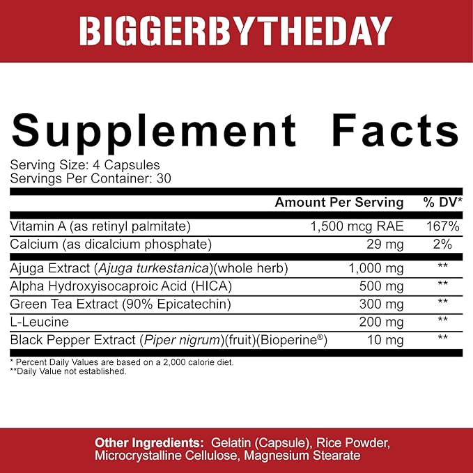 5% Nutrition 2-Stack | Liver & Organ Defender with NAC + BiggerByTheDay | Liver, Kidney, & Heart Support + Anabolic Muscle Builder, Hardcore Lean Mass Gainer with Turkesterone, HICA, L-Leucine