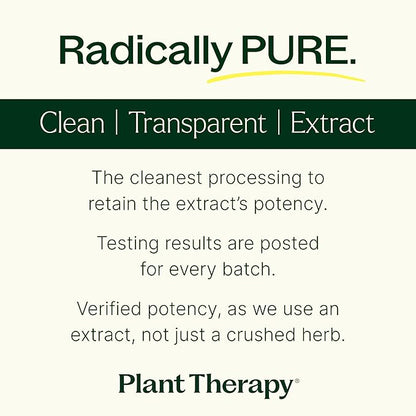 Plant Therapy Maca Root Herbal Supplement Capsules, Supports Sexual Health for Men & Women, Mood-Boosting, Energizing & Reduces Tension, 120 Vegetarian Capsules (4 Month Supply), Made in The USA