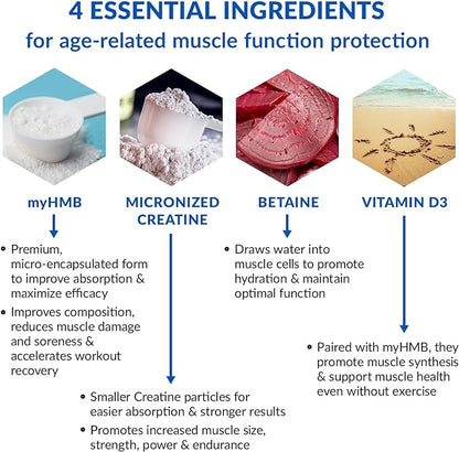 BioTrust Ageless Muscle Builder - Creatine HMB Powder with Vitamin D3 & Betaine - Build & Preserve Naturally Declining Muscle Mass & Strength - Fruit Punch, 30 Servings