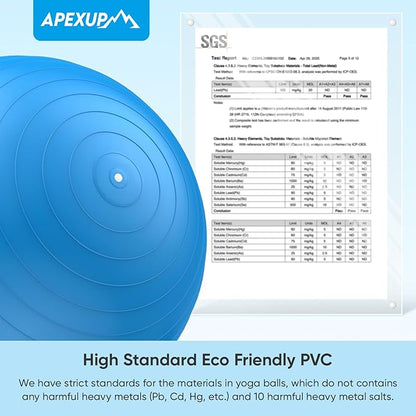 APEXUP Yoga Ball Exercise Ball