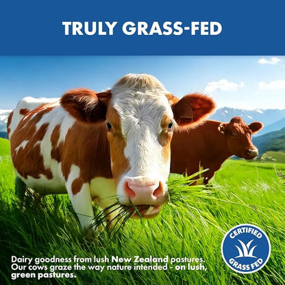Opportuniteas Grass Fed Whey Protein Powder Concentrate - Chocolate - Pure Protein Supplement - Non GMO, Hormone Free & Gluten Free - 1lb