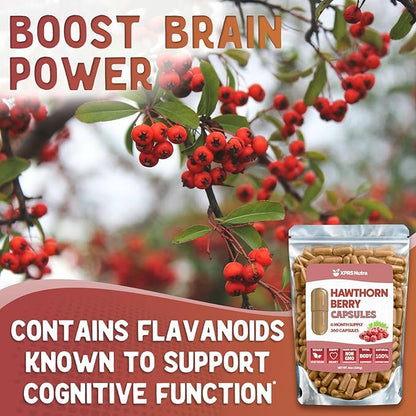 Hawthorn Berry Powder Capsules - 360 Count (6 Month Supply) - Premium Hawthorn Berry Capsules for Cardiovascular Support - Hawthorne Berry Powder - An Ideal Hawthorne Supplement for Men and Women