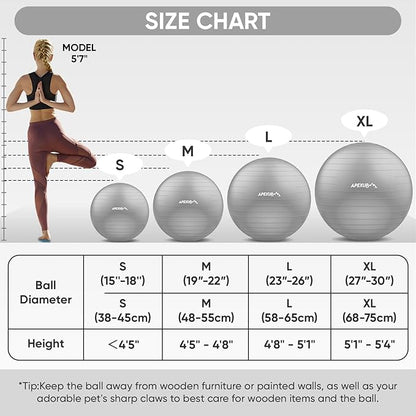 APEXUP Yoga Ball Exercise Ball