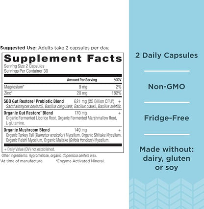 Probiotics by Ancient Nutrition, SBO Probiotics Gut Restore 60 Ct, Promotes Gut Health, Digestive and Immune Support, Gluten Free, Ancient Superfoods Blend, 25 Billion CFUs* Per Serving