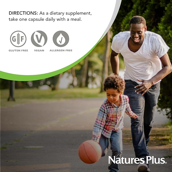 Natures Plus Ultra One Iron Free - 90 Easy to Swallow Capsules - High Potency Once Daily Multivitamin & Mineral Supplement - Natural Energy - Vegetarian, Gluten-Free - 90 Servings