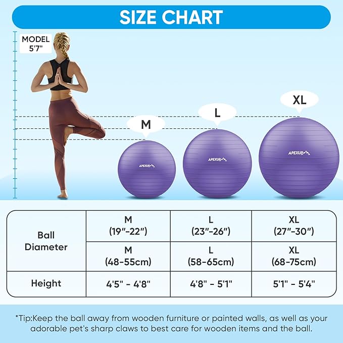 APEXUP Yoga Ball Exercise Ball