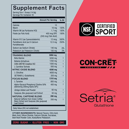 ZOA+ Zero Sugar Pre Workout Powder, Fruit Punch - NSF Certified for Sport with Electrolytes, Creatine, Beta Alanine, Ginkgo Biloba, 200mg Caffeine - 25 Servings