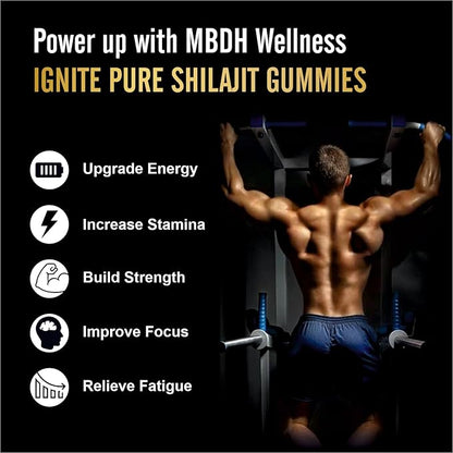 Pure Himalayan Shilajit Gummies - High Potency Gold Grade, 100% Shilajit, 75%+ Fulvic Acid for Energy Boost & Immune Support, Travel-Friendly, Tamarind Flavor - 60 Gummies