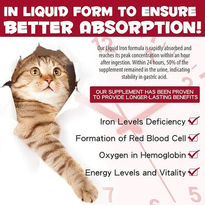 Liquid Iron for Cats, Liquid Iron Drops for Cats Supports Anemia, Low Enery Levels and Lethargy Cats- Improve Energy Levels & Vitality, Pet Supplies Cat Vitamin Supplement, Caramel Flavor - 2 fl.oz