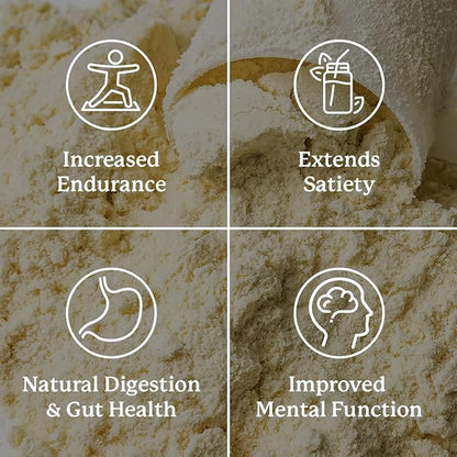 Nature's Sunshine Power Meal, Superfood Whole Body Meal (Vanilla)