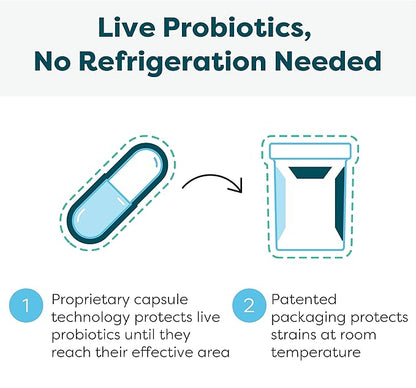 Klaire Labs Ther-Biotic Synbiotic Probiotic & a Prebiotic - Digestive Health & Immune Support∗ - Lactobacillus & Bifidobacterium Strains - Low-FODMAP Probiotic Supplement for Men & Women (60 Capsules)