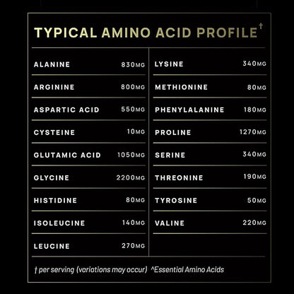 ELMNT Premium Chocolate Collagen for Women Weight Loss & Beauty w. Probiotics, ACV, KSM66, Hyaluronic Acid, Biotin & Patented Multi Collagen Peptides Protein Powder - Colageno Hidrolizado for Women