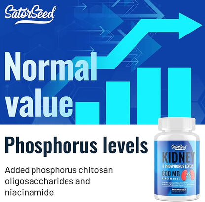 Kidney Support Supplement Cleanse Detox Kidney Chitosan Oligosaccharides Supplement Niacinamide 600mg, Kidney & Phosphorus Levels, Prebiotics & Probiotics, Curcumin & Black Pepper - 60 Capsules