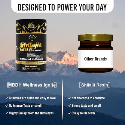 Pure Himalayan Shilajit Gummies - High Potency Gold Grade, 100% Shilajit, 75%+ Fulvic Acid for Energy Boost & Immune Support, Travel-Friendly, Tamarind Flavor - 60 Gummies